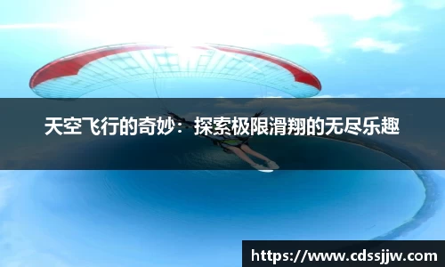 NG体育APP