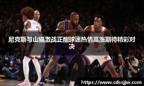 尼克斯与山猫激战正酣球迷热情高涨期待精彩对决